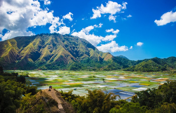 Penjelasan Terkait dengan Alasan Bumi Dikenal dengan Julukan Sebagai Planet Biru