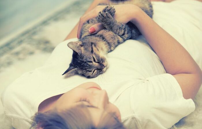 Cara Khas Kucing untuk Mengenali Pemiliknya